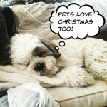 Layla loves Christmas
