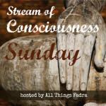 SOC Sunday 2015