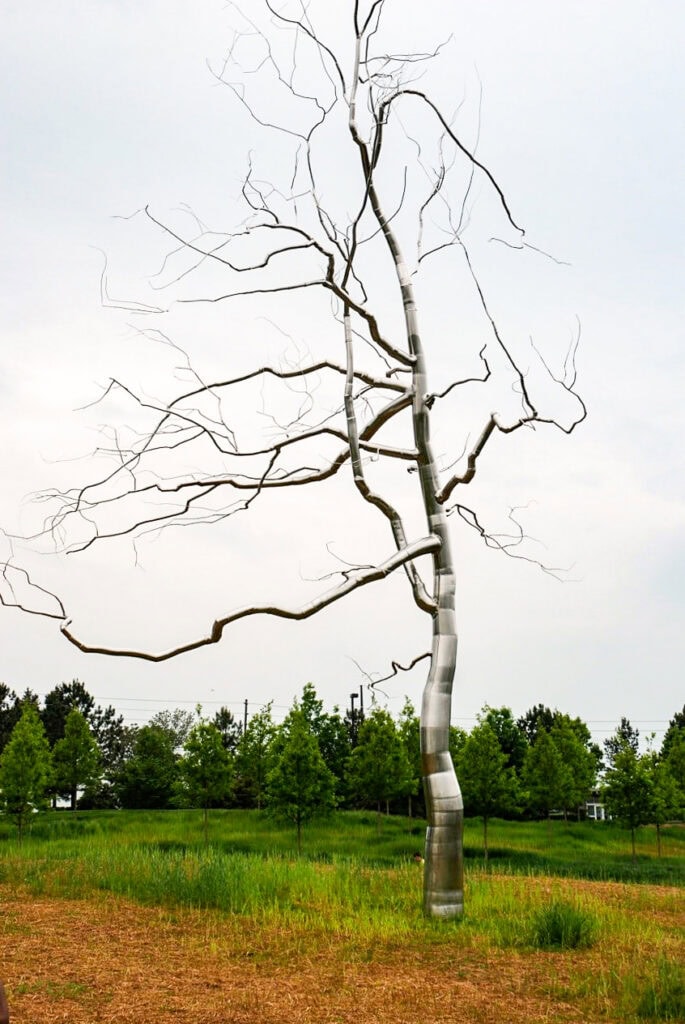 Outdoor park at NCMA