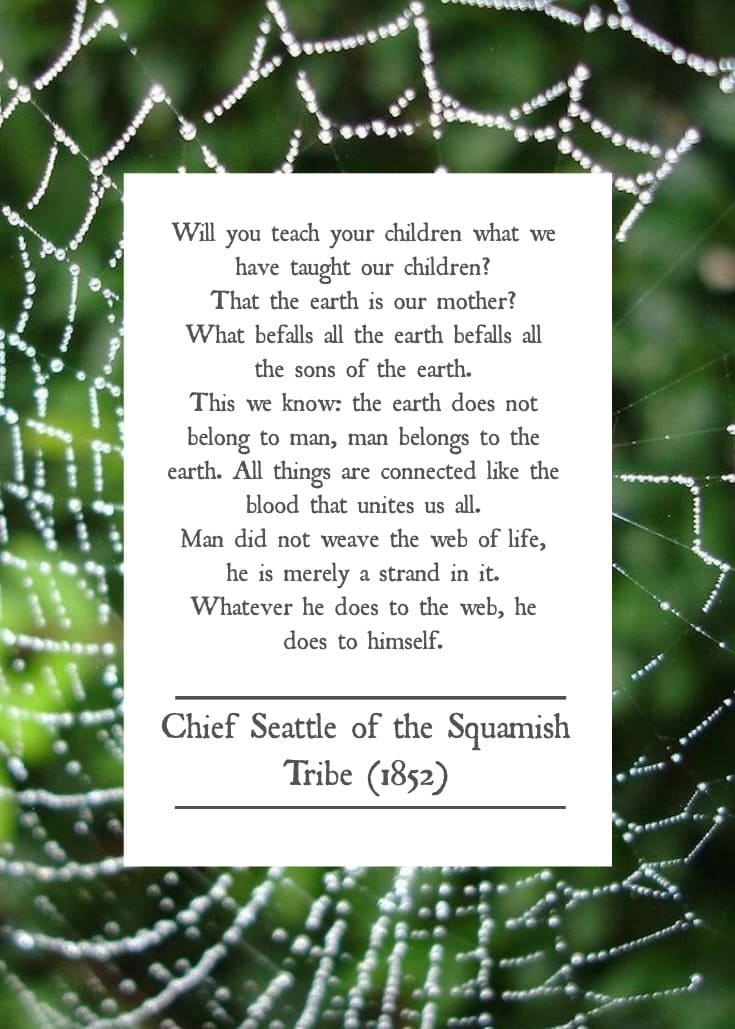 chief-seattle-quote