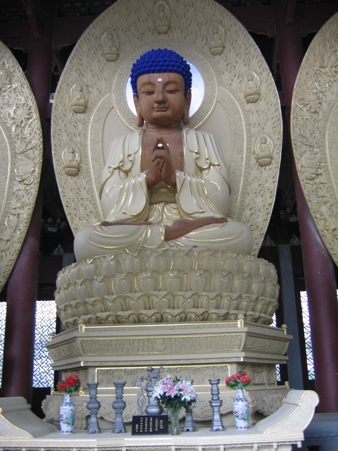 blue velvet buddha