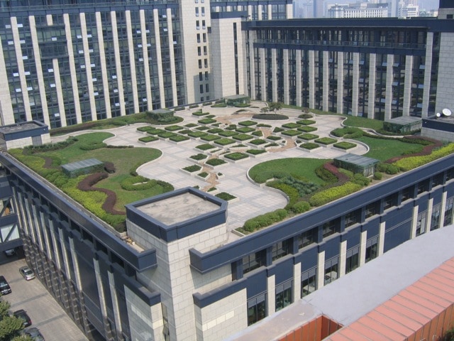 office rooftop garden