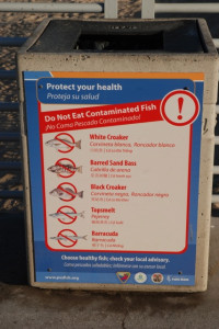 Fish warning. They have barracuda?