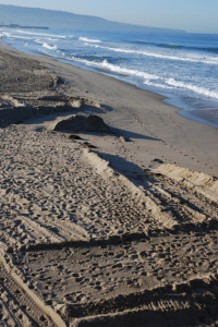 Strange sand shapes. Manmade?