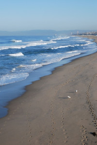 The waves coming in. It was low tide.
