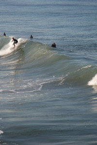 Surfers in the water.