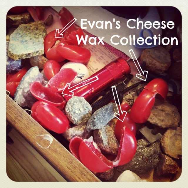 Cheese Wax Collection