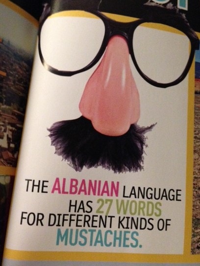 Albanian mustaches