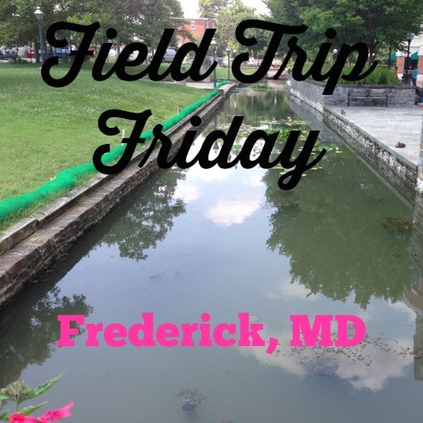 Field Trip Friday - Frederick MD
