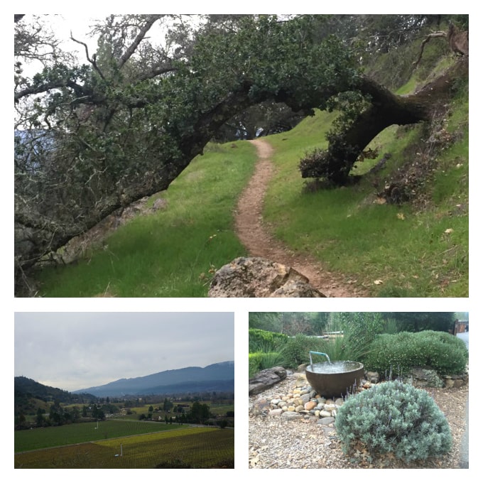 Calistoga Ranch hiking