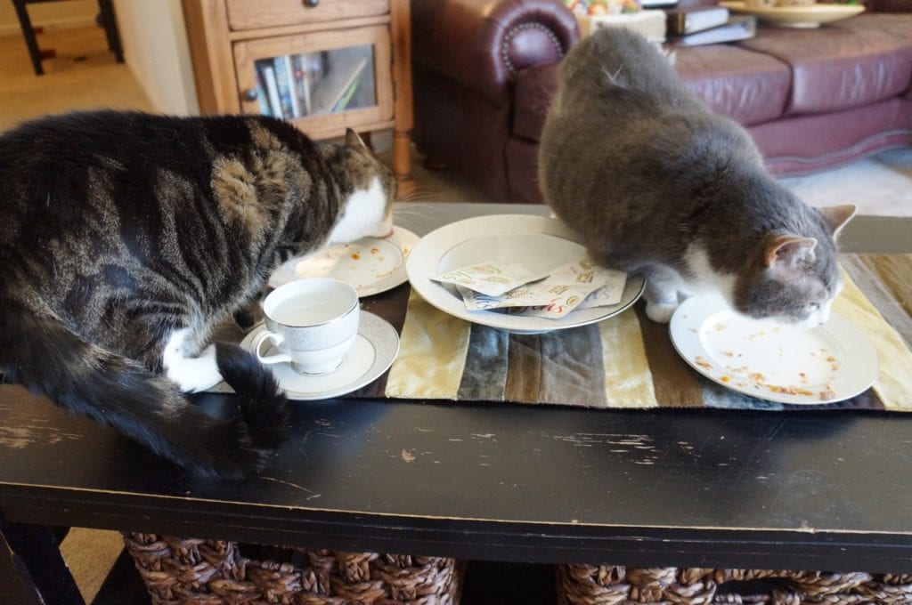 Fancy Feast for cats