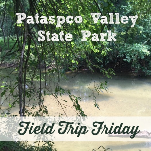Field Trip Friday - Patapsco Valley State Park