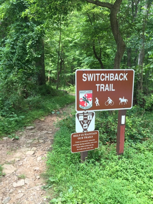 McKeldin Loop - Switchback Trail