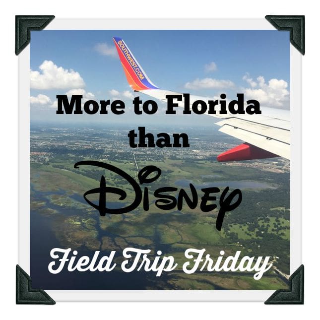 More to Florida than Disney