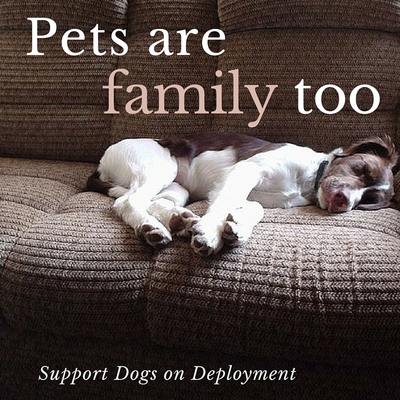 Support Dogs on Deployment