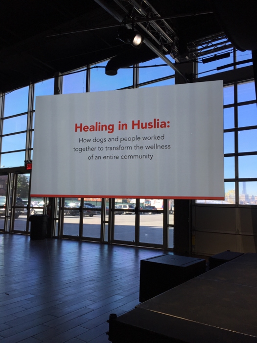Healing in Huslia Purina #BetterWithPets