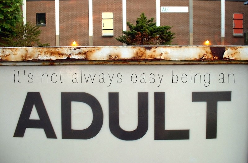 10 Things I Hate About Adulting