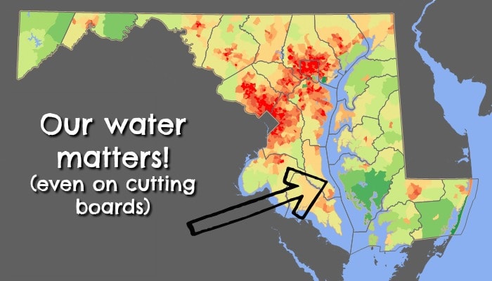Maryland map with water