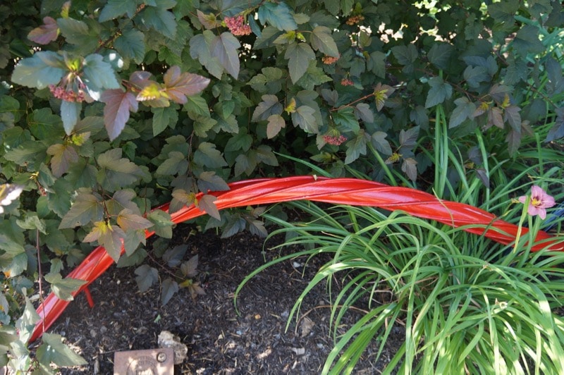 Even the gardens are lined with Twizzlers