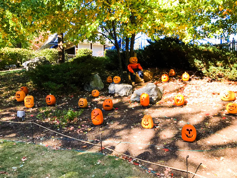 Hersheypark carved pumpkins