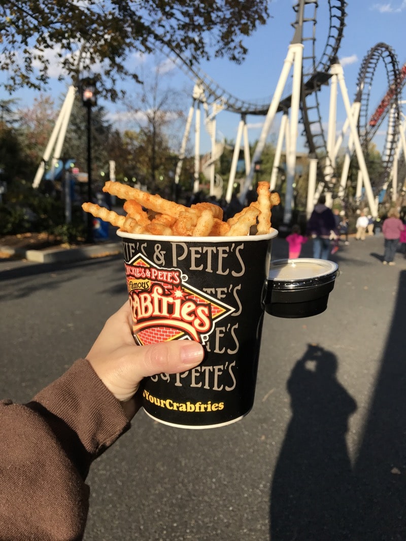 Most delicious fries at Hersheypark