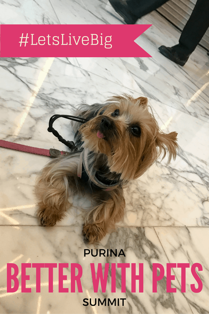 Purina Better with Pets Summit
