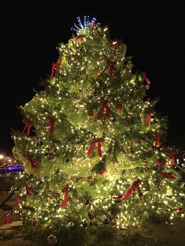 Christmas tree in Annapolis