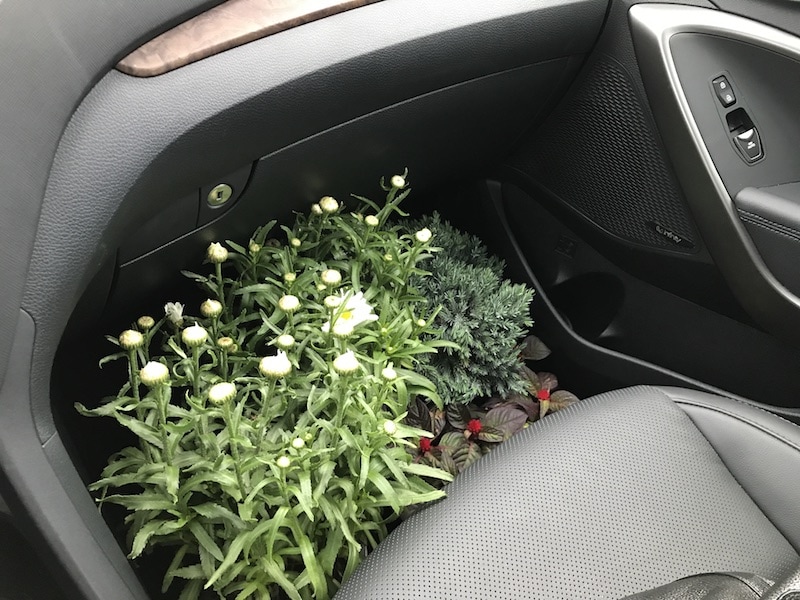 Hyundai Santa Fe - make room for plants