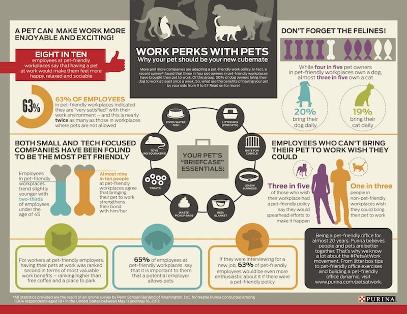 PURINA-PETS AT WORK REPORT