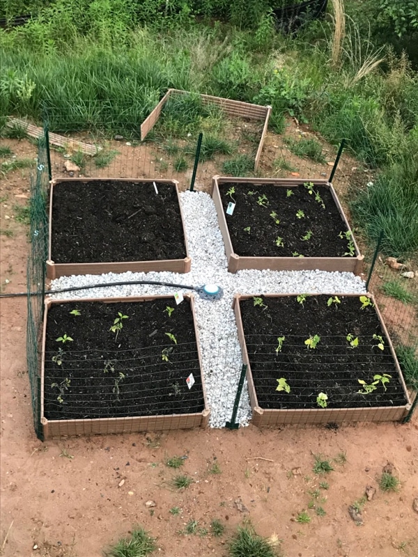 raised beds are a good way to start gardening for beginners