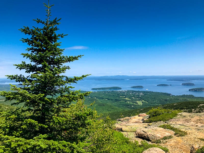 View-from-Cadillac-Mountain