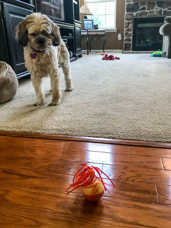 Layla exploring new toys