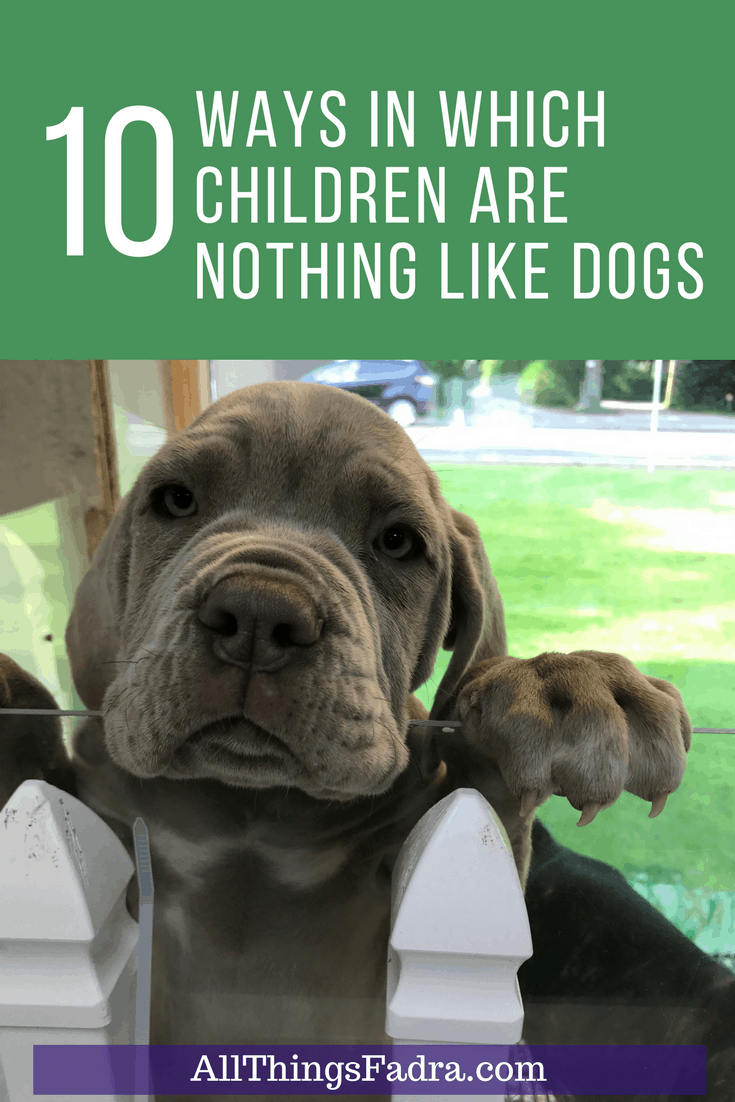 10 Ways In Which Children Are Different Than Dogs
