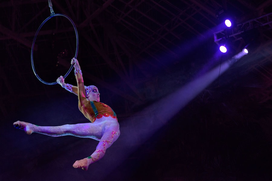Cirque Dreams Unwrapped Aerialist