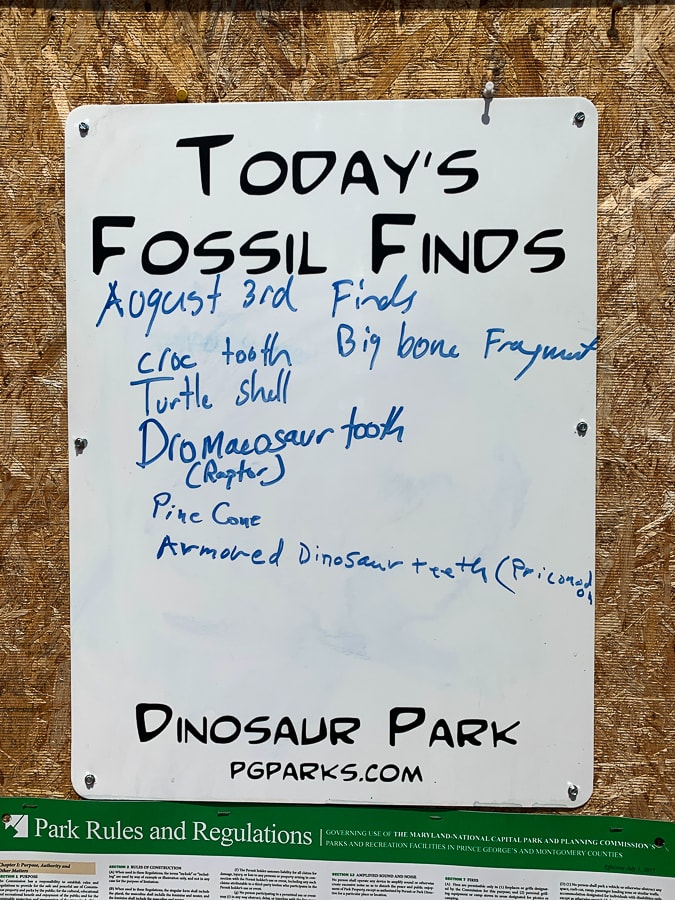 Dinosaur Park fossil finds