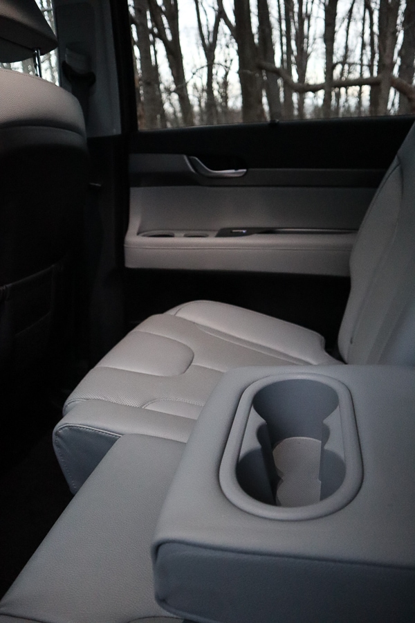Hyundai Palisade back seat