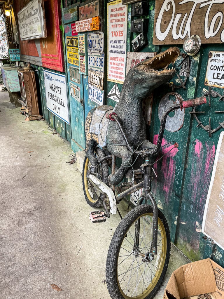 An alligator riding a bike