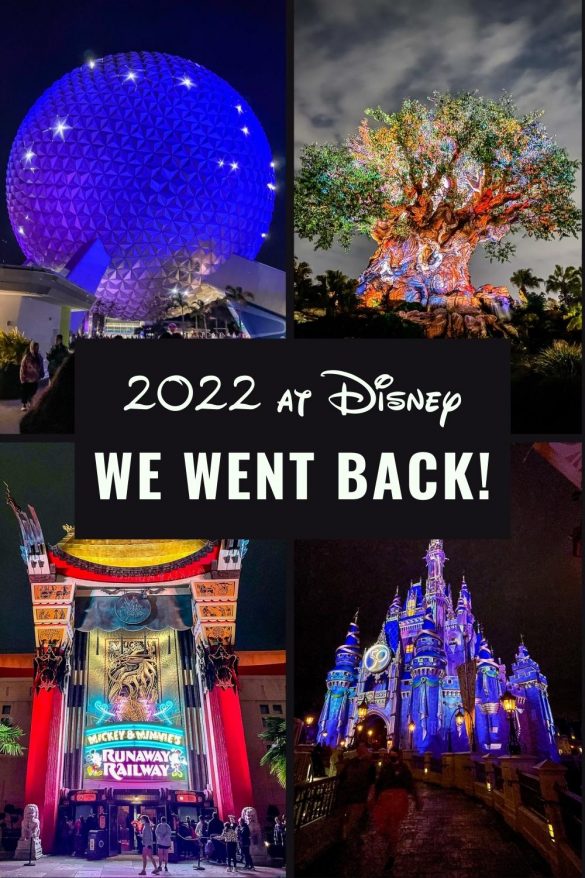 My 2022 Trip to Walt Disney World • All Things Fadra