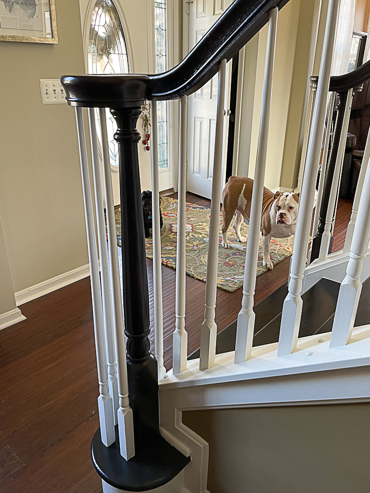 If the stairs are too slippery for you or your dogs, you can easily add a runner after you're done!