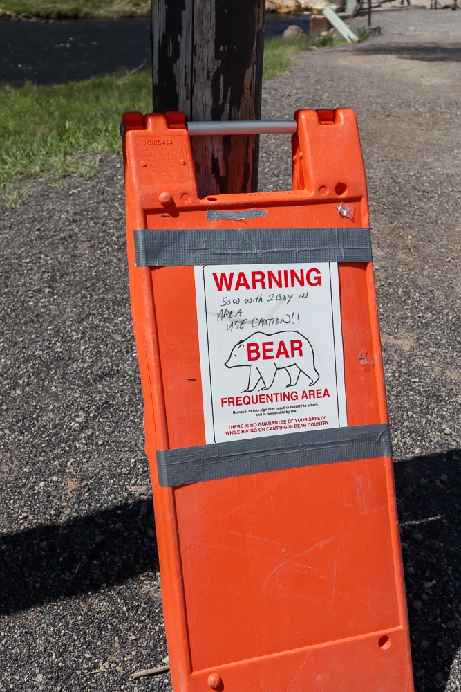 You just. might need bear spray!