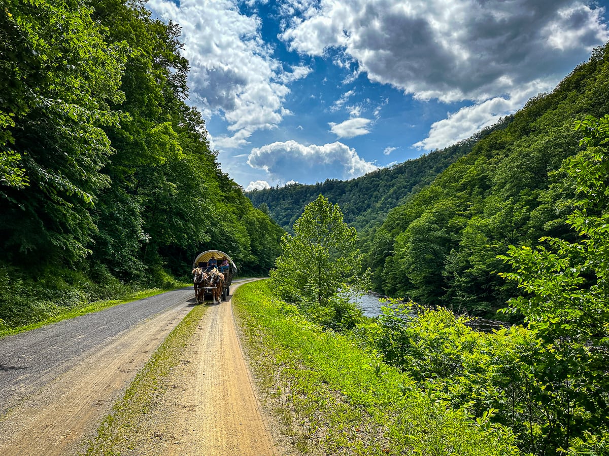 Visiting the OTHER Grand Canyon in Pennsylvania - All Things Fadra