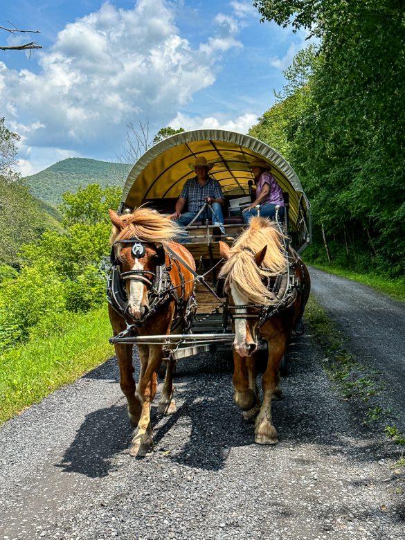 Visiting the OTHER Grand Canyon in Pennsylvania • All Things Fadra