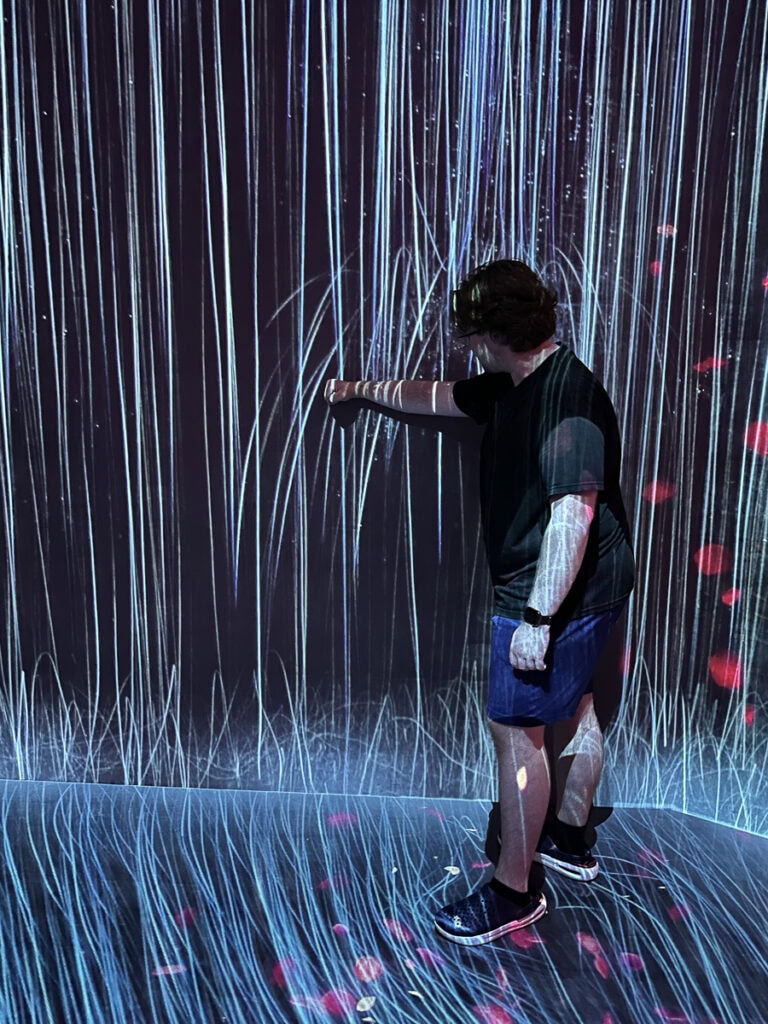 The art is interactive at TeamLab Borderless