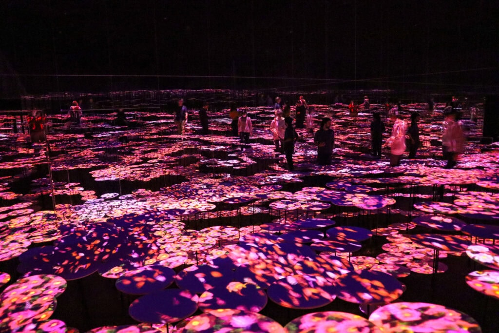 Memory of Topography exhibit