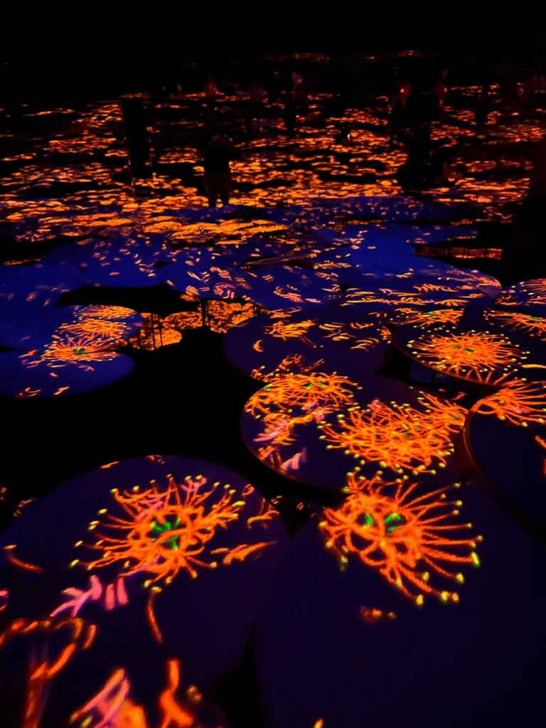 I Visited Both TeamLab Borderless and Planets. Here's Which One