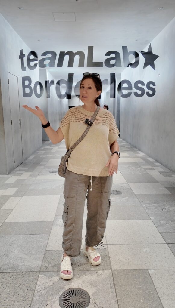 TeamLab Borderless entry