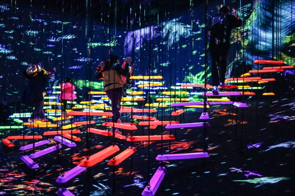 I Visited Both TeamLab Borderless and Planets. Here's Which One