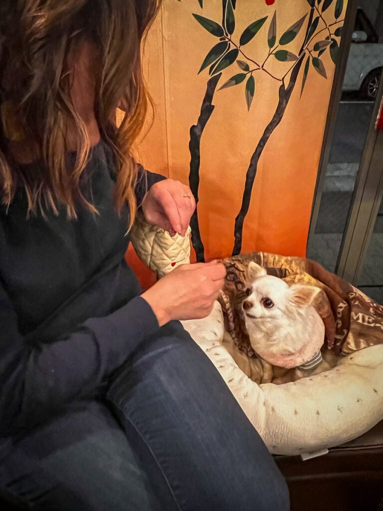 Fujifuku vegan restaurant