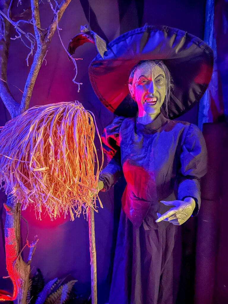 The Wicked Witch of the West