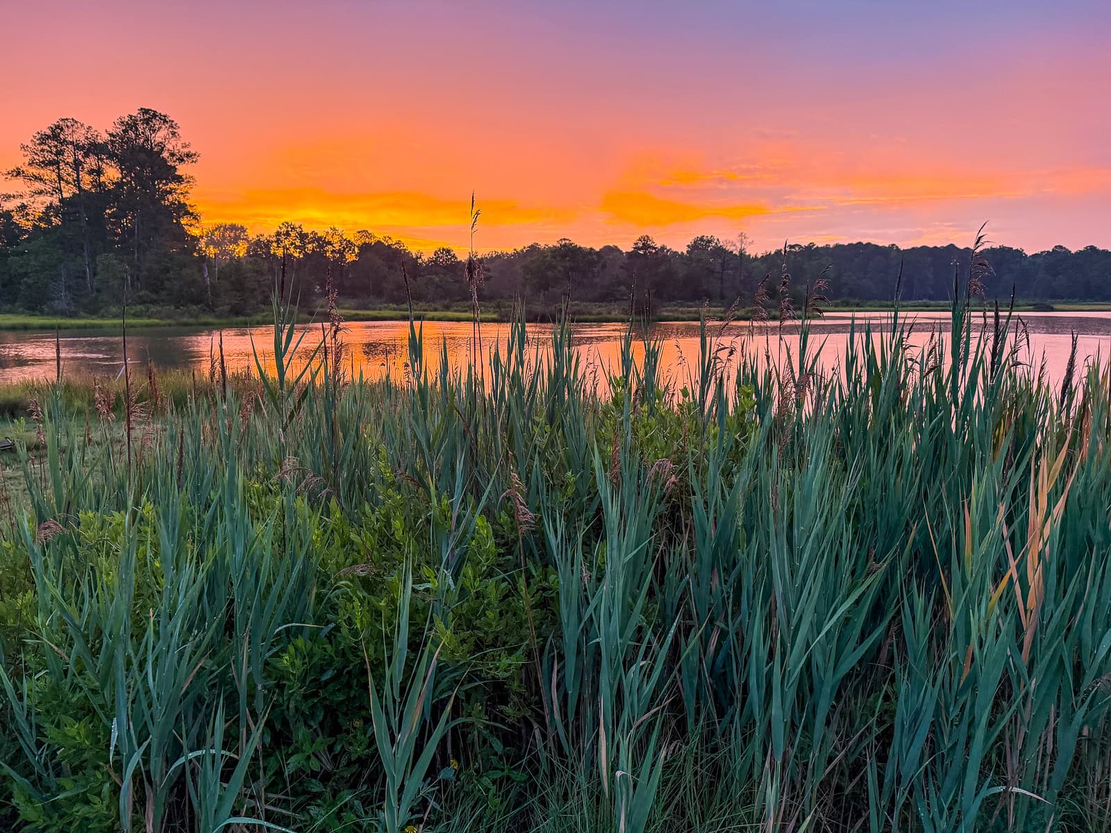 Is Gloucester, Virginia Worth Visiting?